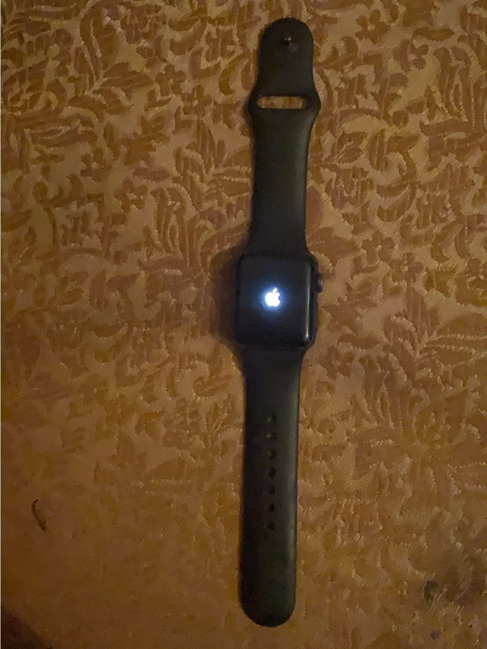 Apple Black Smartwatch with Black Sport Band